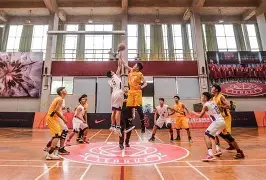 包含查尔勒罗亚主场告捷，全取分实力获证的词条